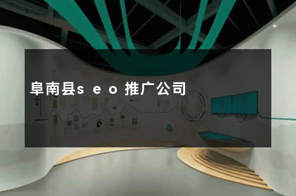 阜南县seo推广公司