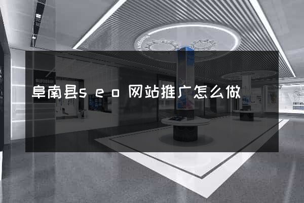 阜南县seo网站推广怎么做