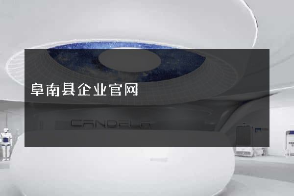 阜南县企业官网