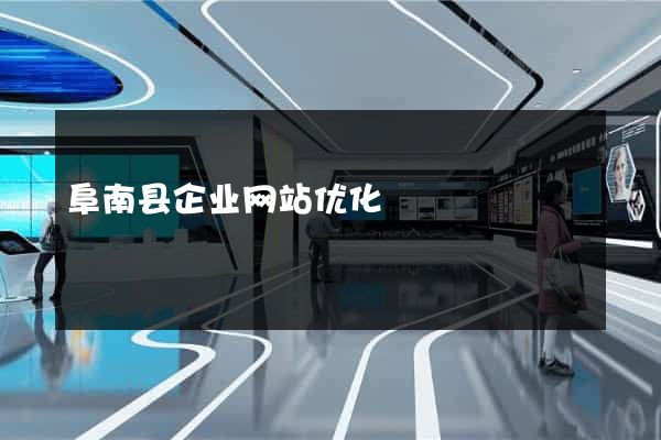 阜南县企业网站优化