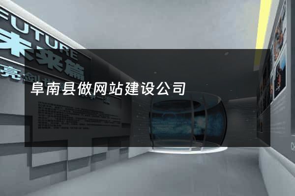 阜南县做网站建设公司