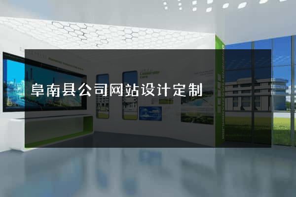 阜南县公司网站设计定制