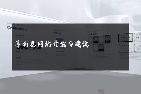 阜南县网站开发与建设