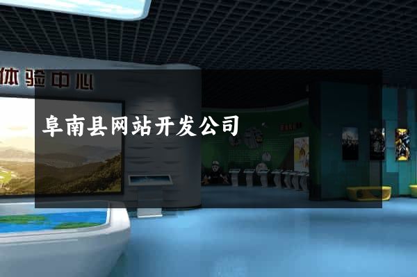 阜南县网站开发公司