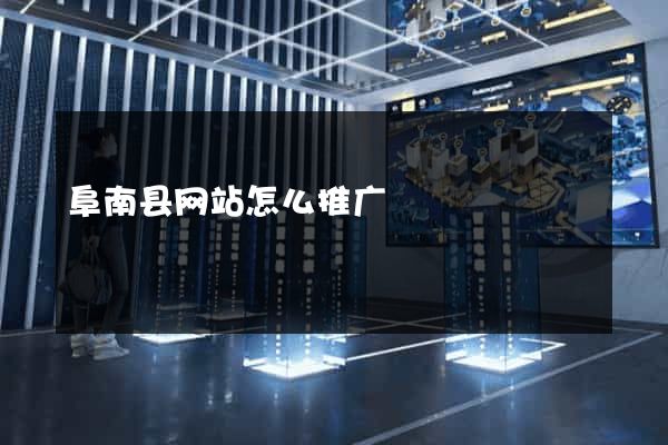 阜南县网站怎么推广