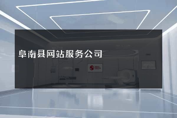 阜南县网站服务公司