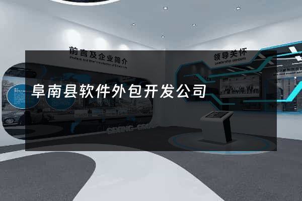 阜南县软件外包开发公司