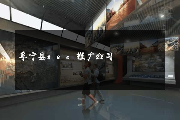 阜宁县seo推广公司