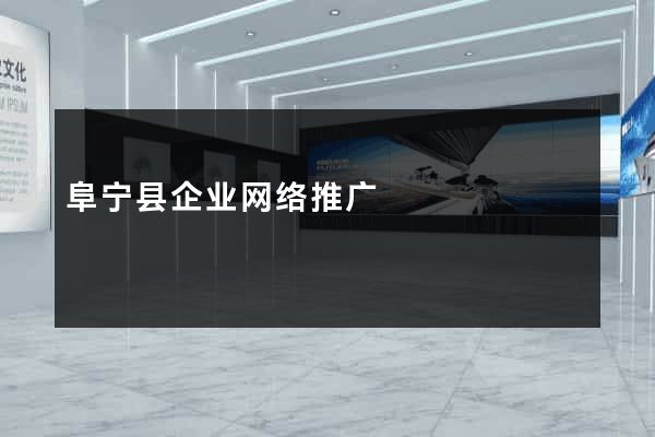 阜宁县企业网络推广