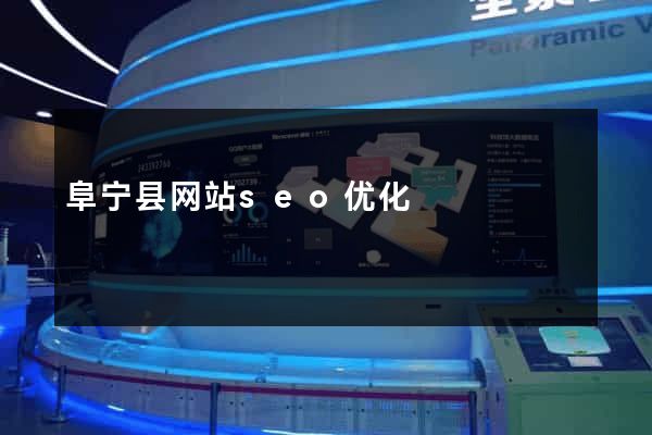 阜宁县网站seo优化