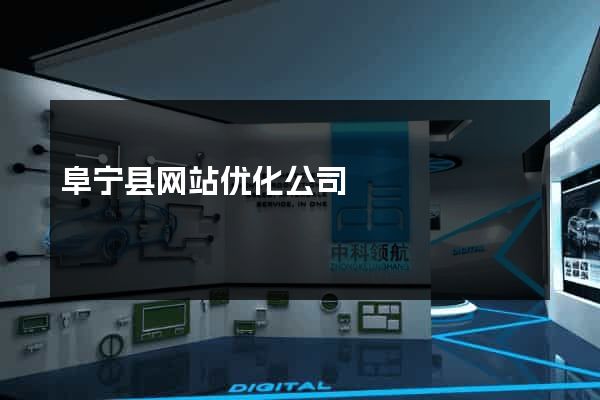 阜宁县网站优化公司