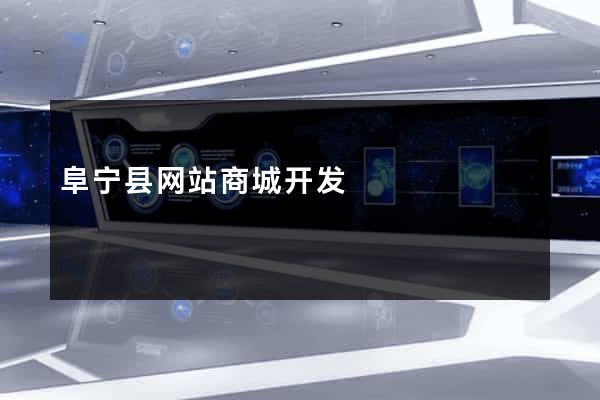 阜宁县网站商城开发