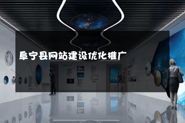 阜宁县网站建设优化推广