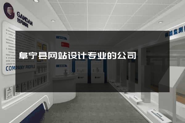 阜宁县网站设计专业的公司