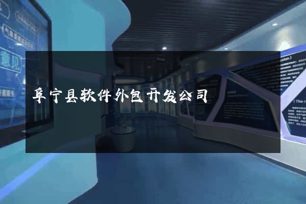 阜宁县软件外包开发公司