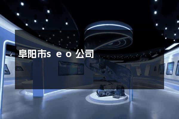 阜阳市seo公司