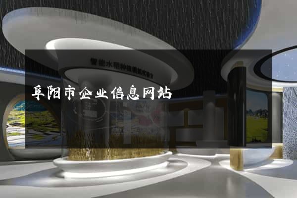 阜阳市企业信息网站