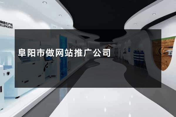 阜阳市做网站推广公司