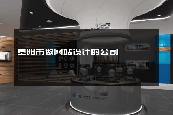 阜阳市做网站设计的公司
