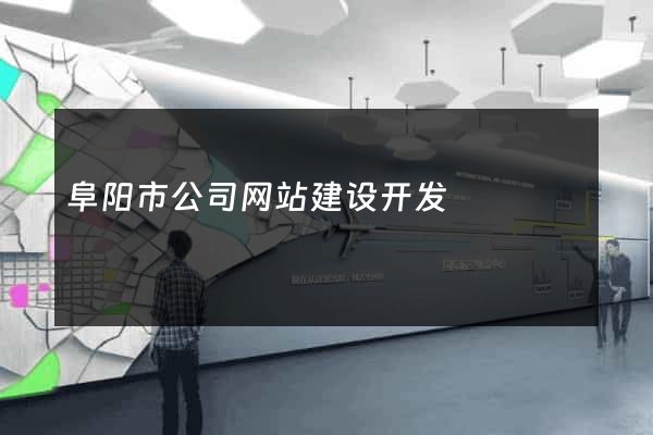 阜阳市公司网站建设开发