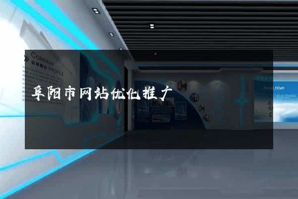 阜阳市网站优化推广