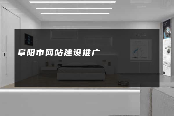阜阳市网站建设推广