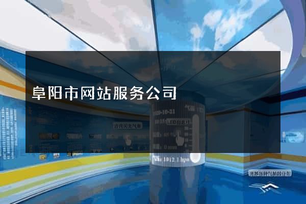 阜阳市网站服务公司