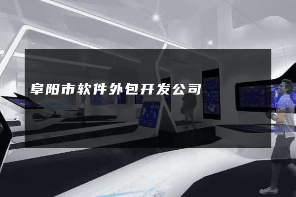 阜阳市软件外包开发公司