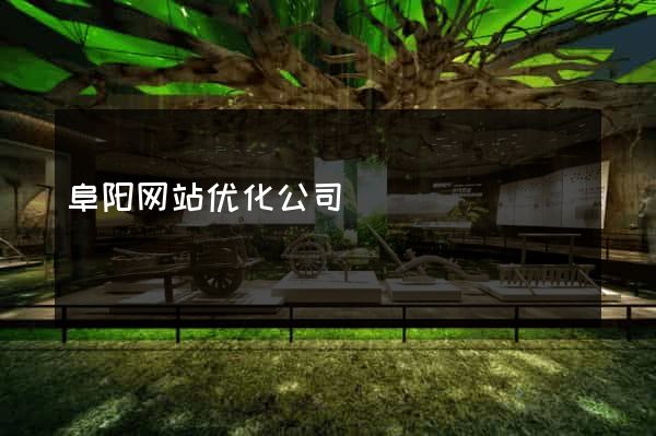阜阳网站优化公司