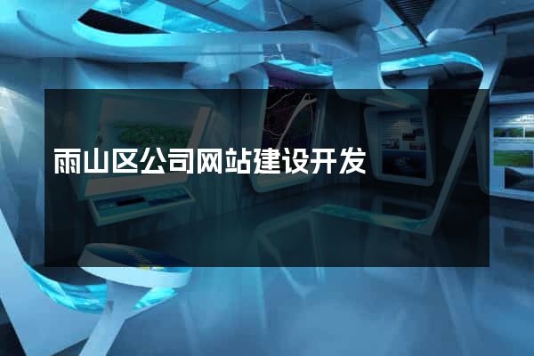 雨山区公司网站建设开发