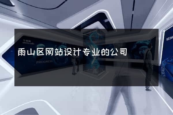 雨山区网站设计专业的公司