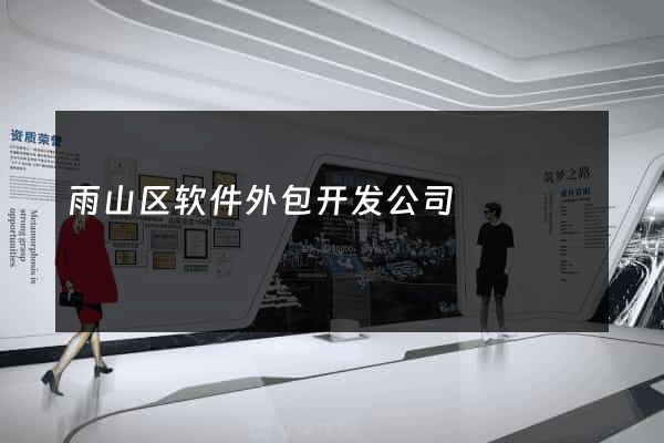 雨山区软件外包开发公司
