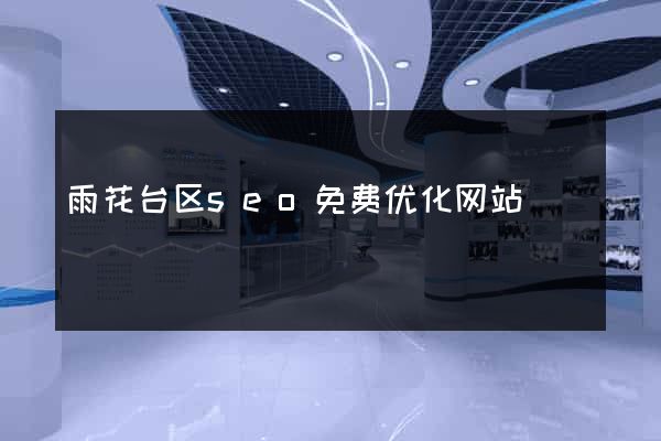 雨花台区seo免费优化网站