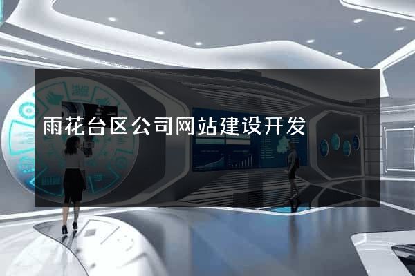 雨花台区公司网站建设开发