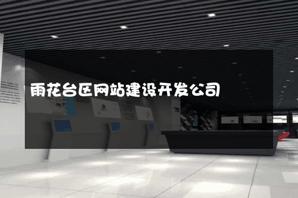 雨花台区网站建设开发公司