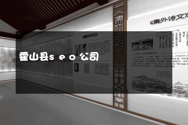 霍山县seo公司