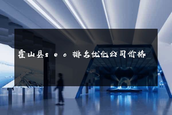 霍山县seo排名优化公司价格