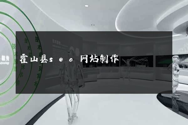霍山县seo网站制作
