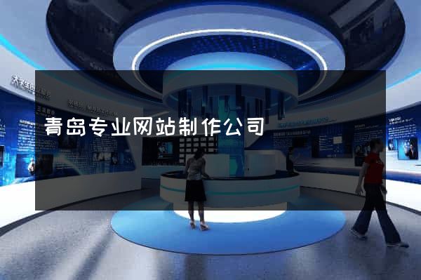 青岛专业网站制作公司