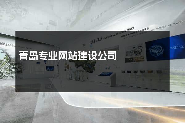 青岛专业网站建设公司