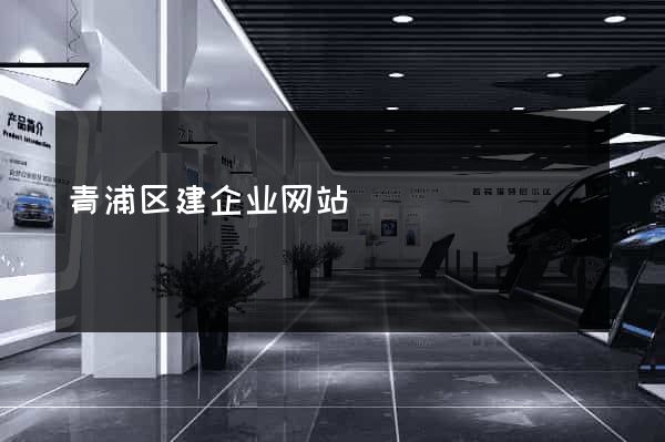 青浦区建企业网站