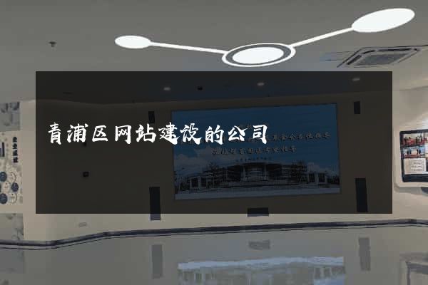 青浦区网站建设的公司