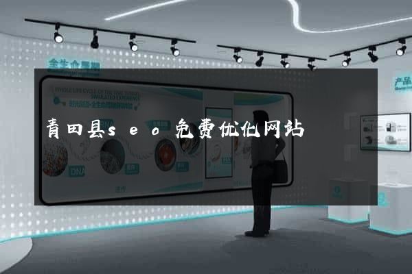 青田县seo免费优化网站