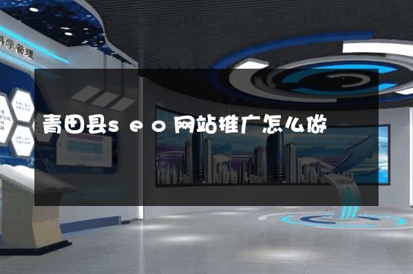 青田县seo网站推广怎么做