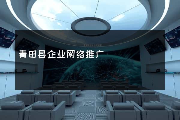 青田县企业网络推广