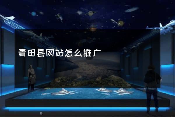 青田县网站怎么推广