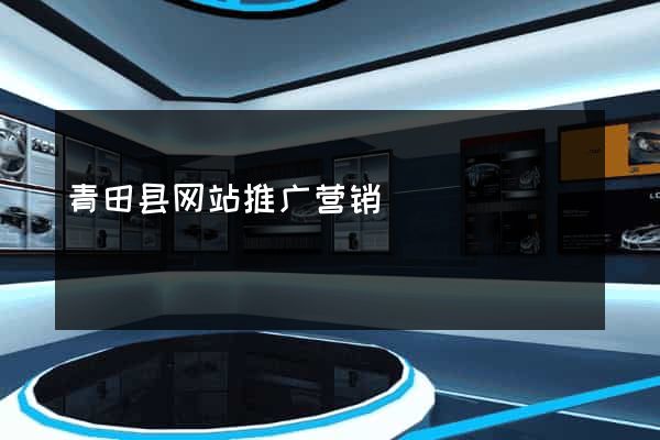 青田县网站推广营销