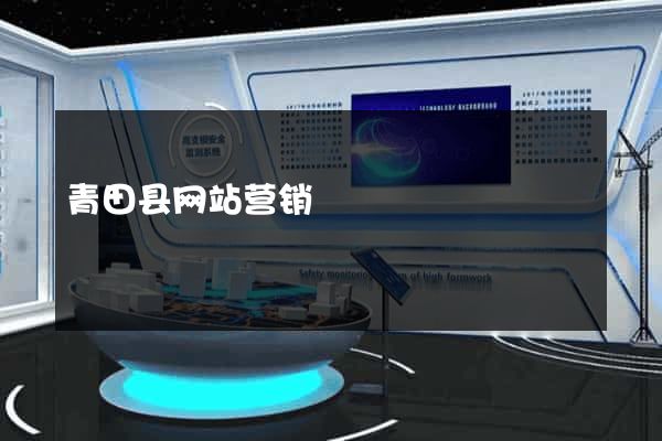 青田县网站营销