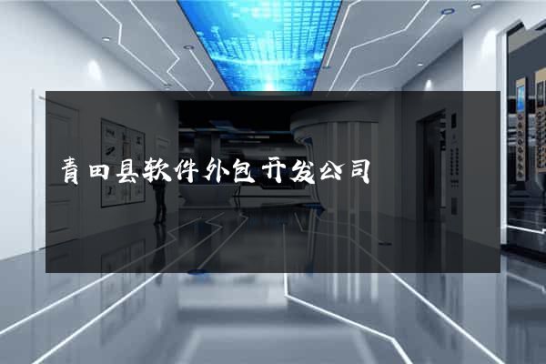 青田县软件外包开发公司