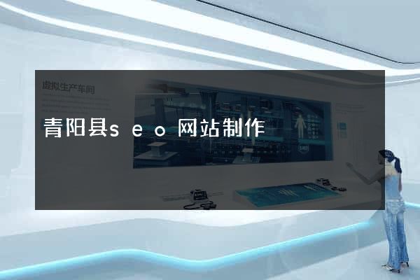 青阳县seo网站制作
